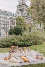Load image into Gallery viewer, PARIS PICNICS - PARIS FOODIE BAG